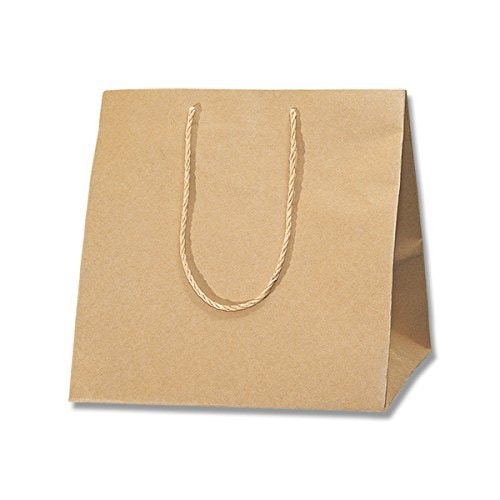 （まとめ買い）シモジマ HEIKO 手提げ紙袋 アレンジバッグ S 未晒無地 10枚 幅285xマチ280x高さ300mm 006441130 [x3セット]