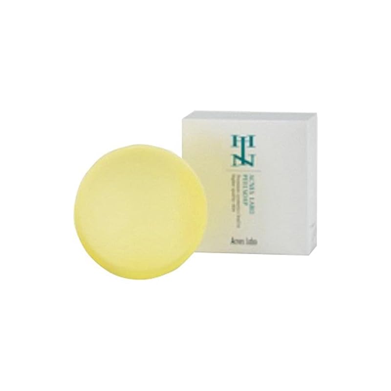 HINアクネスラボ ピールソープM