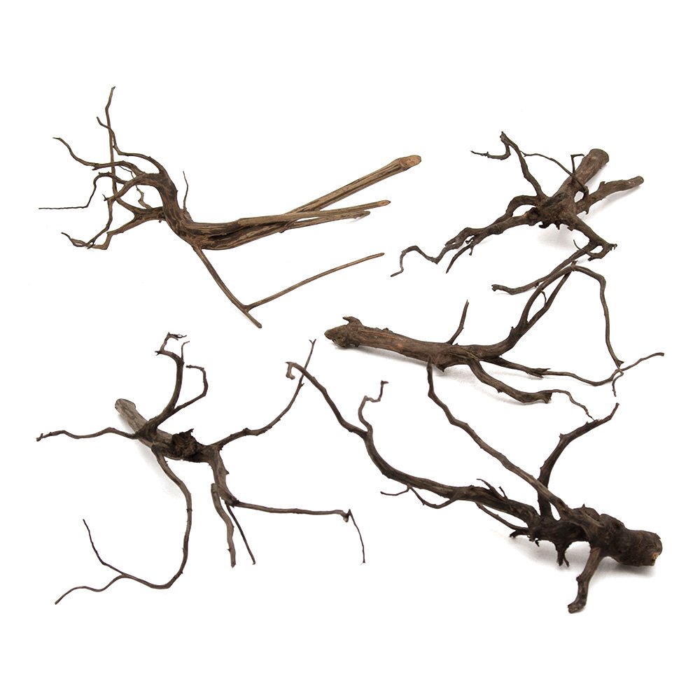 形状お任せ　煮込み済み　スパークウッド　Ｍサイズ（約２０ー３０ｃｍ）　５本　アクアリウム　レイアウト素材　流木　ＣＲＣ21―10―40―20―00