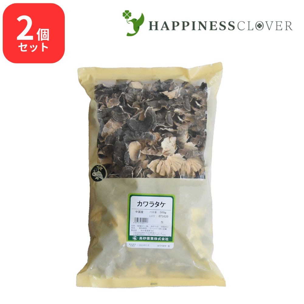 【2個セット】カワラダケ 瓦茸 生 500g 高砂薬業 カワラタケ