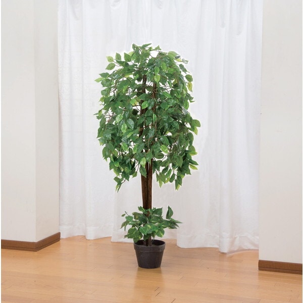 ファミリー・ライフ 光触媒 インテリアグリーン ベンジャミン(04220) メーカー直送