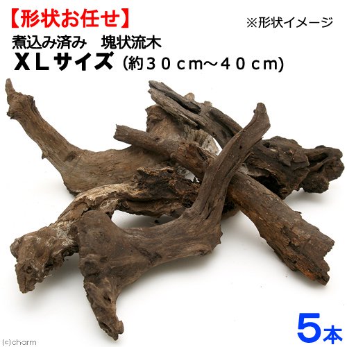 煮込み済み　塊状流木　ＸＬサイズ　約３０ー４０ｃｍ　５本　形状お任せ　アクアリウム　レイアウト素材　流木　ＣＲＣ21―10―20―30―00