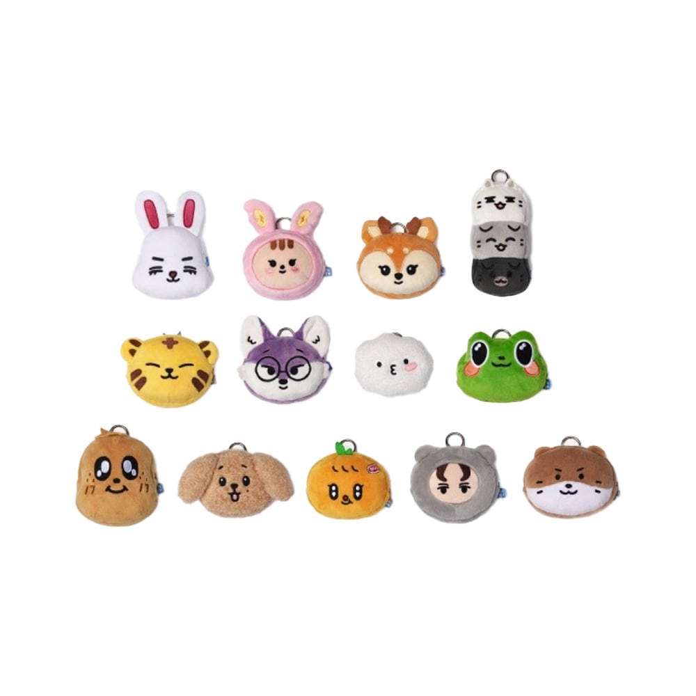 Qoo10] Pledis Entertainment Seventeen COIN POUCH : KPOP