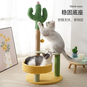 サボテン キャットクライミングフレーム 猫の巣 一体型 猫の木 ヴィラ 大型 猫爪とぎ板 おもちゃ 猫爪とぎポスト 猫用品