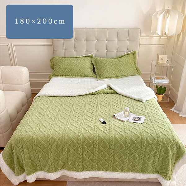 毛布 ボア ブランケット 180x200 フランネル マイクロファイバー あったか 暖かい 保温性 もこもこ おしゃれ 寝具 秋冬 インテリア 5,269円