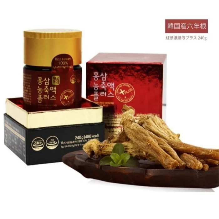6年根 紅参濃縮液プラス 240g (栄養食品/母の日プレゼント/父の日プレゼント/お歳暮/免疫力増進/疲労改善/記憶力改善/抗酸化)