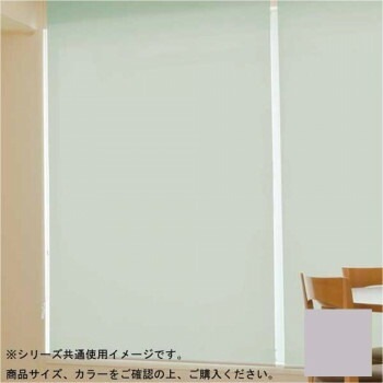 タチカワ ファーステージ 防炎ロールスクリーン ダークブラウン 幅90x高さ180cm プルコード式 TR-1046 パールグレーカーテン