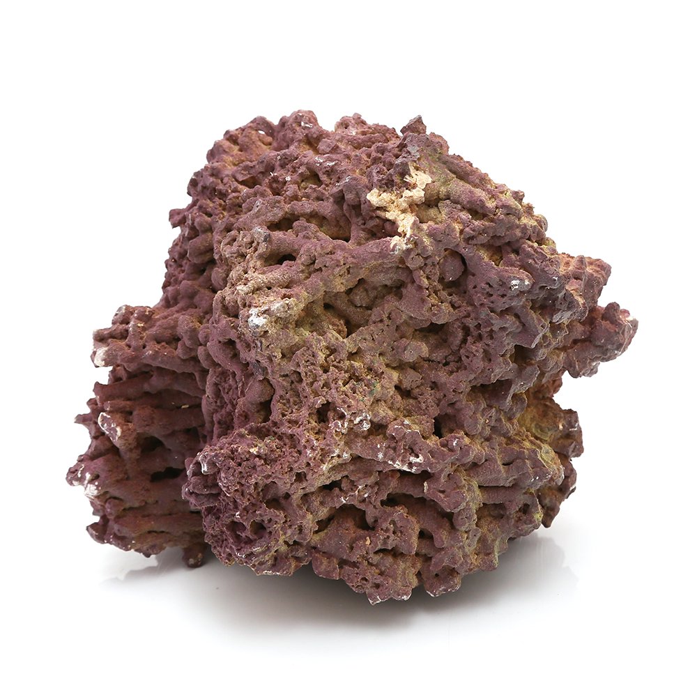 ジュラシックリーフロック　ライブロック　Ｌ（１ー２．５ｋｇ）　１個　形状お任せ　バクテリア付き　ＣＲＣ10―35―90―30―00