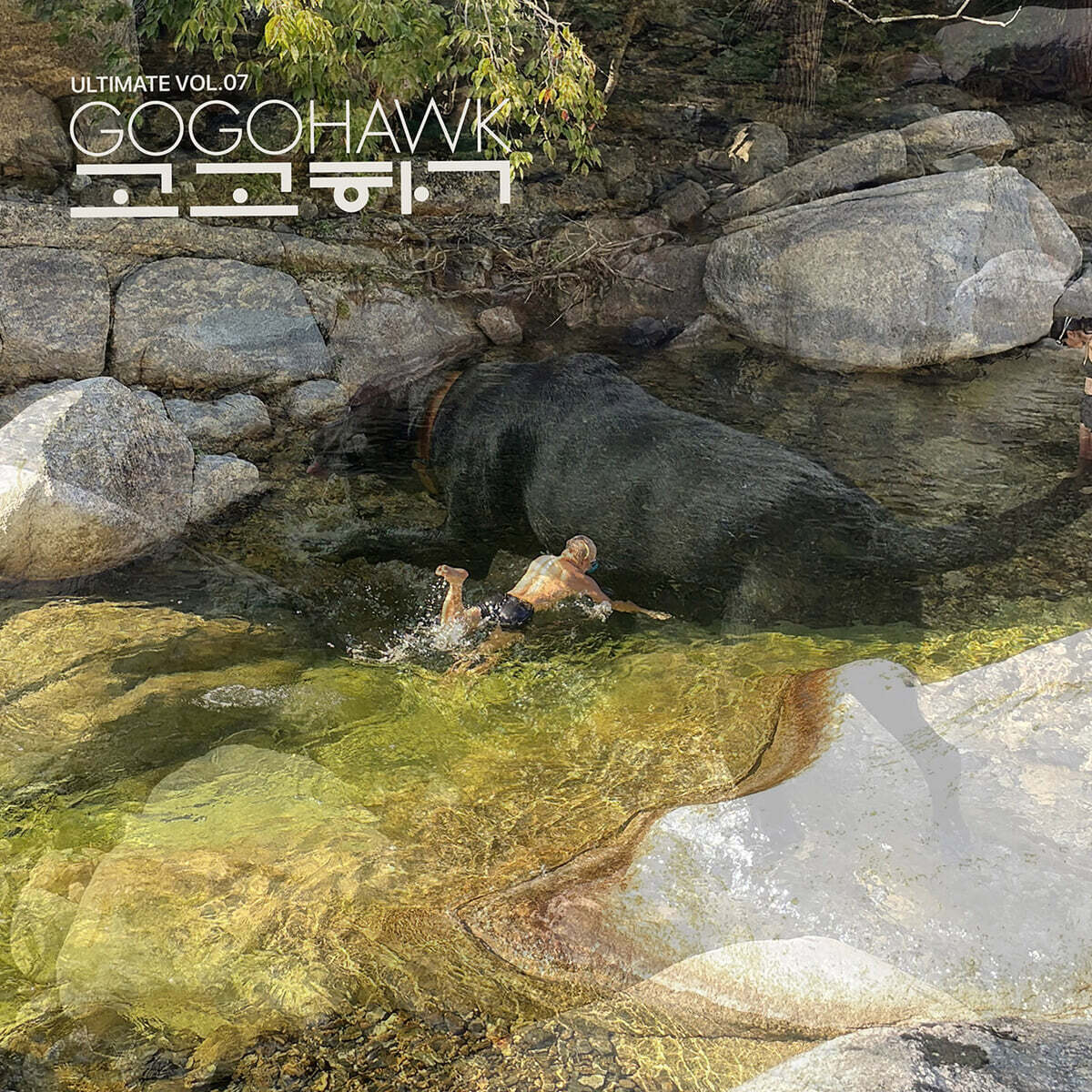 [レコード] Gogohawk (考古学/고고학) - VOL.07 [ダークグリーン・マーブルカラー LP] / 서울레코드페어 / 公式 vinyl