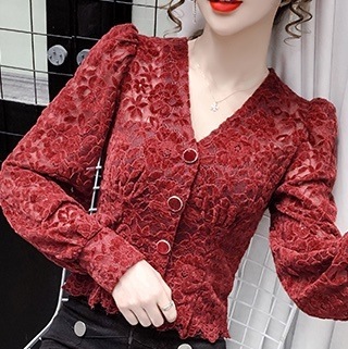 トップス ブラウス カーディガン 袖あり 長袖 Vネック レース 刺繍 前開き 透け感 シースルー かわいい 大人可愛い きれいめ 大人 上品 おしゃれ お洒落 かっこいい レトロ 大人女子 こなれ感