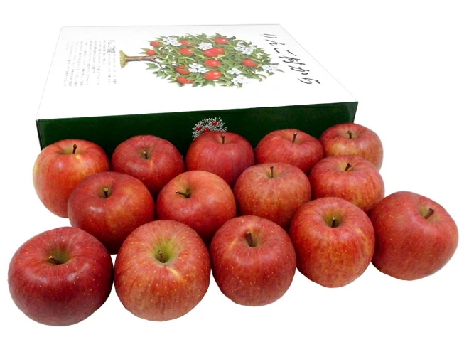 =青森産 サンふじりんご= 12-18玉前後 約5kg 化粧箱 りんご 予約 入荷次第発送
