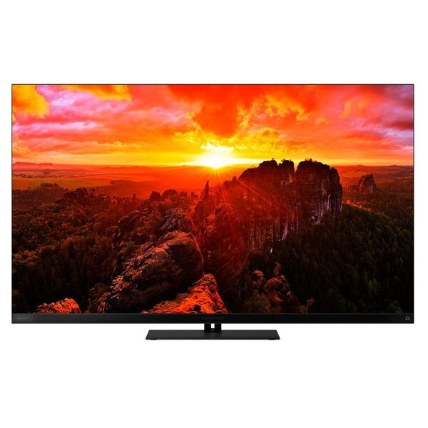 55X9900N REGZA 55V型 地上・BS・110度CSデジタル 4Kチューナー内蔵 有機ELテレビ