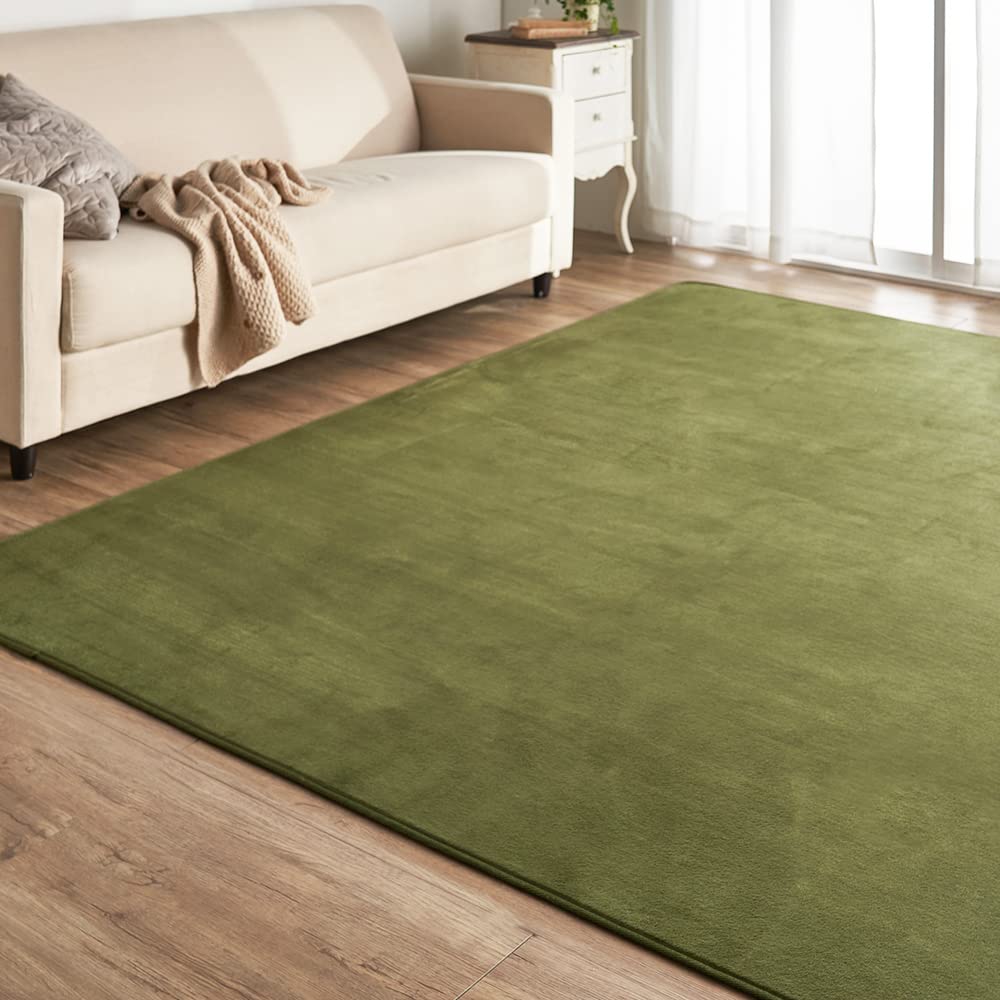 アイリスプラザ フランネルラグ グリーン 200×300 滑り止め付き ラグ 洗える ラグカーペット マット カーペット対応 防ダニ フランネル さらフワ触感 おしゃれ 北欧 じゅうたん