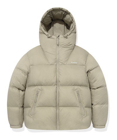 真作/宇都宮大潔/雲龍図/双幅/布袋屋掛軸HE-640 【公式通販】