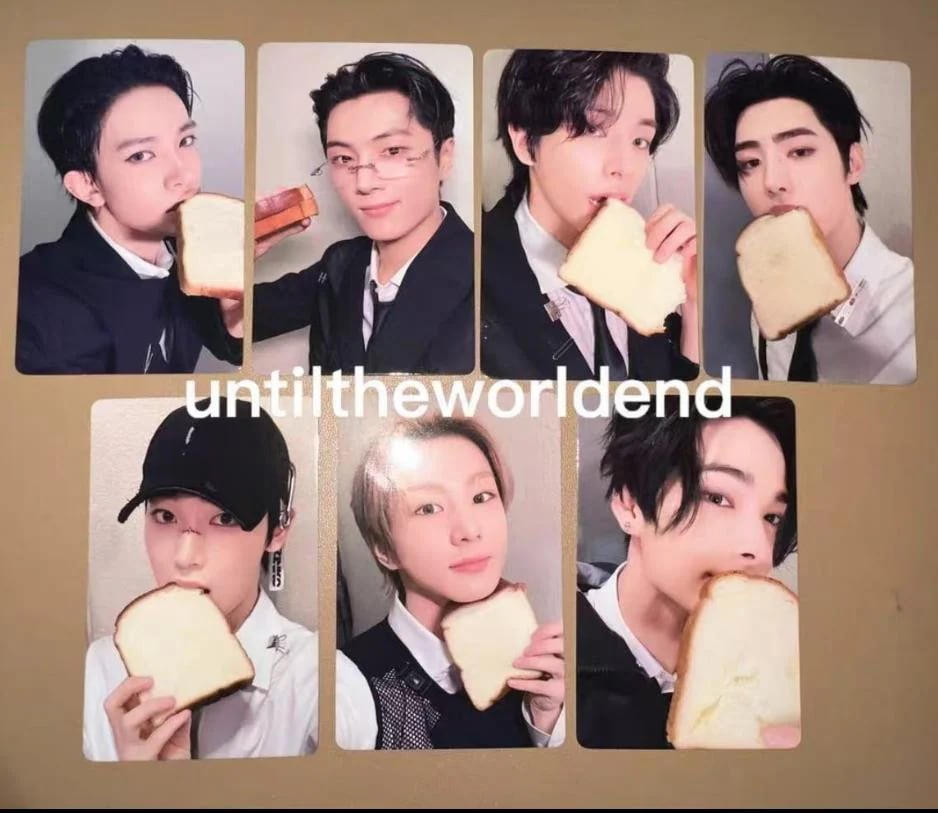 公式品　ENHYPEN 　daydream：UNTOLD　一直娯 　yzy トースト 特典トレカ 全員７枚セット