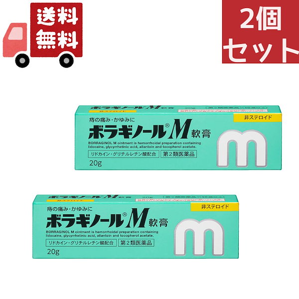 天藤製薬 ボラギノールm 軟膏 20g 痔