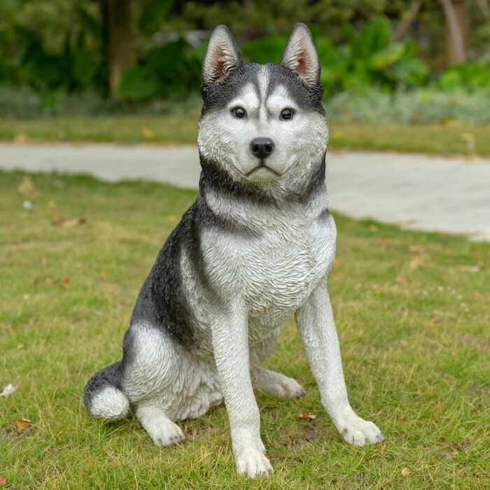 犬 置物 大きい お座りシベリアンハスキー 高さ50cm かわいい woobia ウービア 巨大オブジェ イヌ おしゃれ ガーデン インテリア 可愛い プレゼント 北欧 玄関 雑貨 動物 モダン 面白