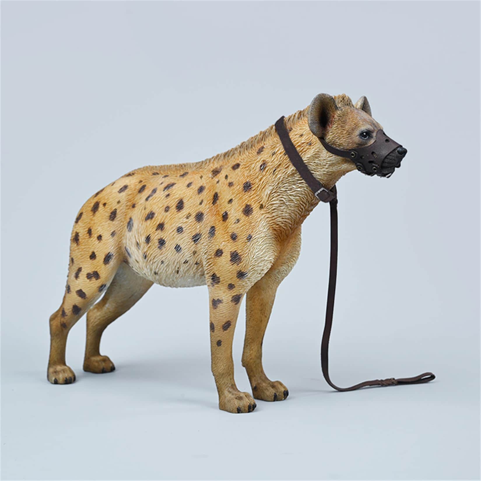 JXK 1/6 サイズ ブチハイエナ 斑鬣犬 哺乳綱 食肉目 ハイエナ科 可愛い 動物 リアル フィギュア 樹脂 プラモデル 模型 21.5cm級 完成品 動物好き 置物