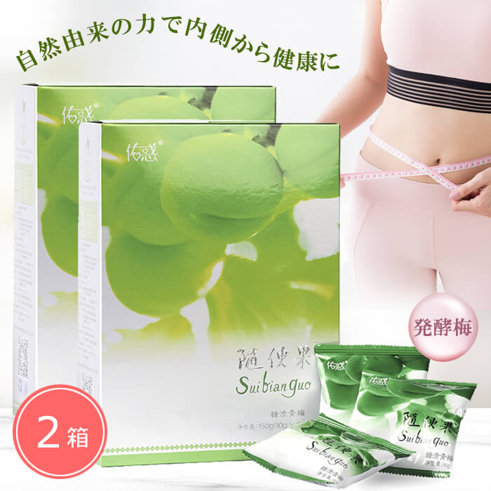 随便果 10gx15個 2箱セット ずいびんか 発酵梅 天然発酵食品 100％天然果実