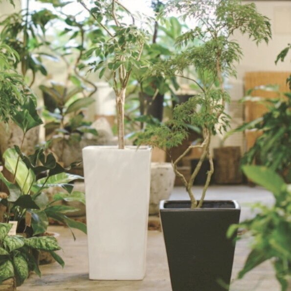植木鉢 おしゃれ 陶器鉢 トールスクエア S (2色) 25cm 8号 穴あり 受け皿付 縦長 プランター 観葉植物向け