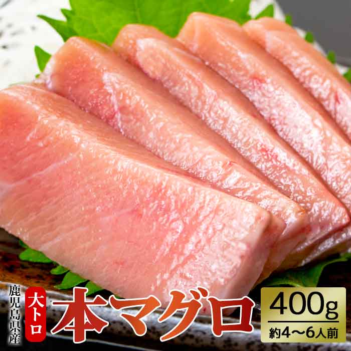 鹿児島県産 本マグロ【大トロ】 約4-6人前 200g2袋 大容量 400g 黒マグロ 本まぐろ マグロ 鮪 本鮪 黒鮪 まぐろ 黒まぐろ 柵 中とろ トロ 寿司 刺身 さしみ 海鮮丼