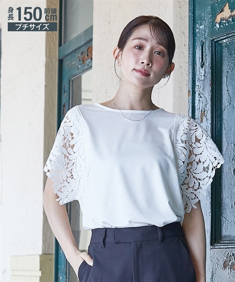 20,000,000 fragments 長袖トップス サイズ2 楽天市場】【SALE 70%OFF】ザ シンゾーン クロップドロングTEE