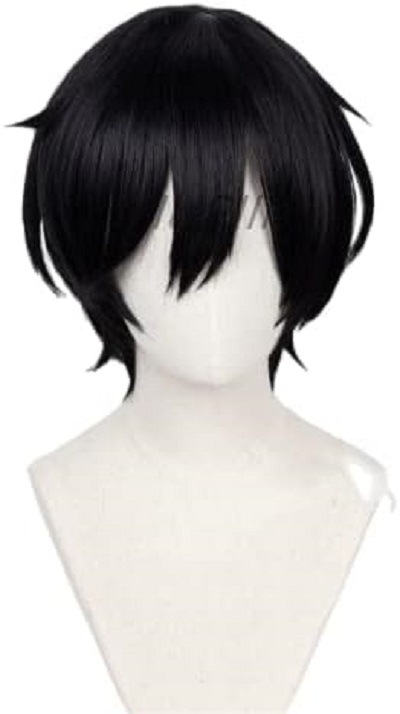 氷鷹北斗 コスプレウィッグ ネット付き 耐熱 ウィッグ かつら ハロウィン コスチューム