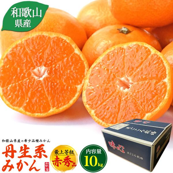 和歌山県産 丹生系みかん 最上等級 赤秀品 約10kg 100～115個入り 国産 高級 みかん ミカン 甘い 果物 フルーツ 箱買い お取り寄せ ギフト 常温便 全国配送可能