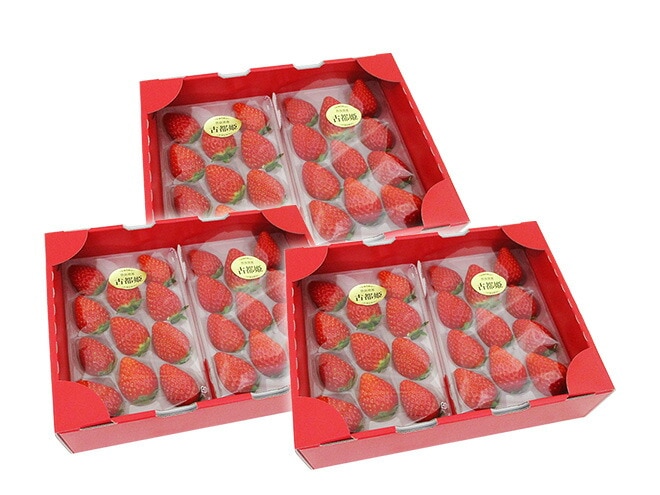 奈良県産 =古都姫いちご= 2pc x3箱（1pcあたり9-15粒前後 約250g） 予約 1月以降