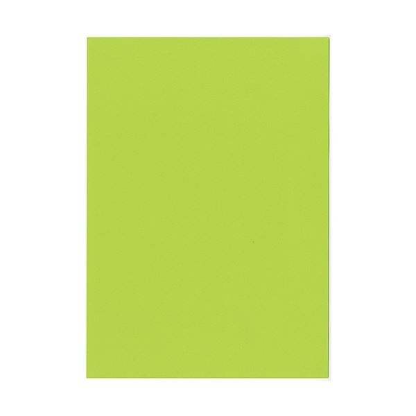北越コーポレーション 紀州の色上質A3Y目 薄口 みどり 1箱（2000枚:500枚x4冊） 12,537円