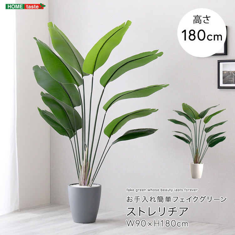 お手入れ簡単 フェイクグリーン ストレリチア Lサイズ 180cm 鉢付 人工観葉植物 鉢カバー不要 造花 リアルさを追求 新生活 引っ越し 家具 インテリア 模様替え