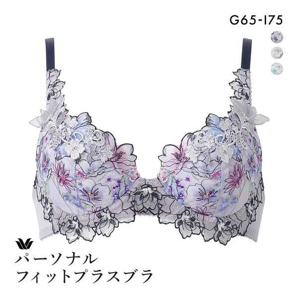 ワコール パーソナルフィットプラスブラ プレミアム 17series BXD417 17G 3/4カ