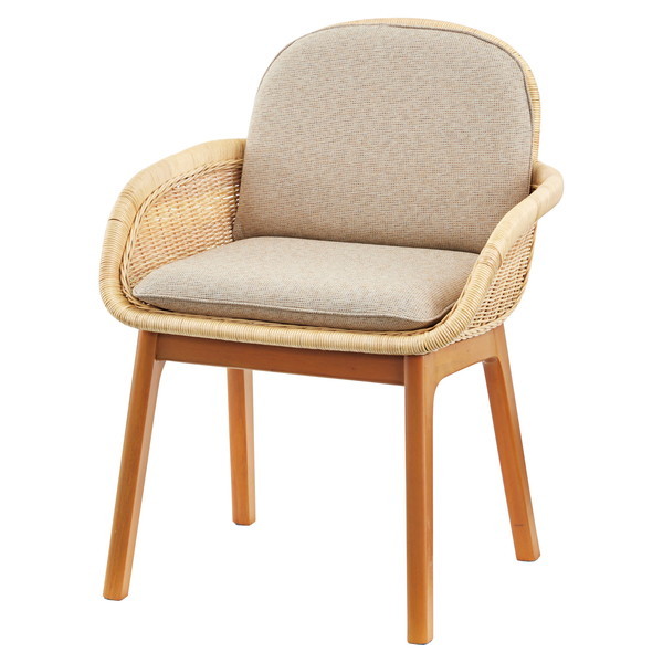 NRS-502 [チェア] メーカー直送