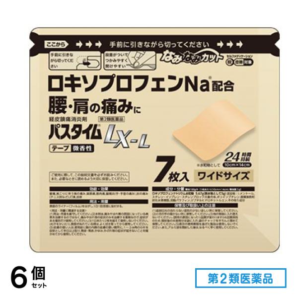 第２類医薬品 パスタイムLX-L ワイドサイズ(10×14cm) 7枚 6個セット