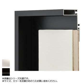 アルナ アルミフレーム 仮縁 コア FサイズF10　ブラック/7603