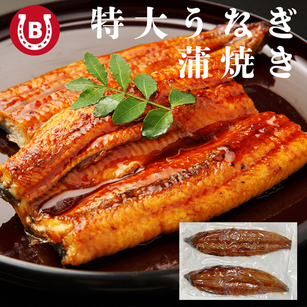 うなぎ 蒲焼き 【 超特大サイズ 6尾 】 約1.5kg 簡易包装 自宅用 ウナギ 蒲焼 ひつまぶし お茶漬け うな重 うな丼 うなぎの蒲焼き 鰻 うな丼　特大 サイズ水産物加工品