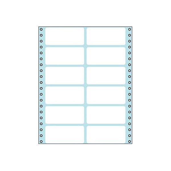 コクヨ 連続伝票用紙（タックフォーム）横8×縦10インチ（203.2×254.0mm）12片 ECL-216 1パック（100シート）