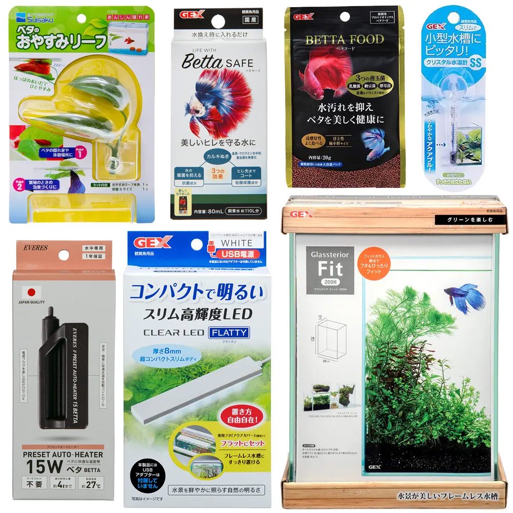 飼育セット　ゆとりあるベタ水槽セット　２０ｃｍＨ水槽ｖｅｒ　お一人様５点限り　ＣＲＣ10―11―03―20―20