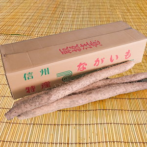 松代産ながいも　長芋　やまいも　2-3L　約10Kg　長野県長野市松代産　ギフト　プレゼント　贈り物