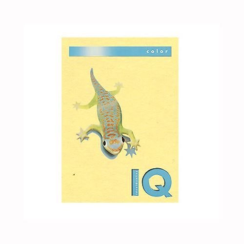 （まとめ買い）伊東屋 バイオトップカラーA4（500枚入） BT503 ｲｴﾛｰ 00032227 [x3]