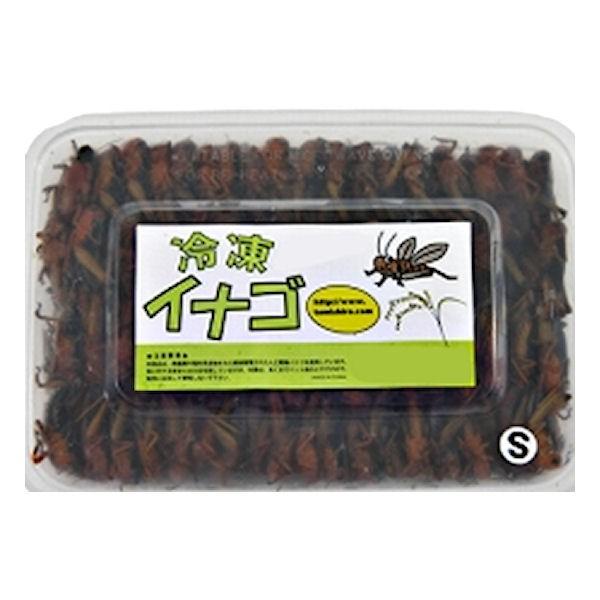 冷凍イナゴSサイズ 200g×25個セット【クール便発送】 両生類 中型魚 大型魚 熱帯魚 アロアナ 亀 カメ かめ 小動物 エビ えび 海老 カルシウム エサ 餌 フード