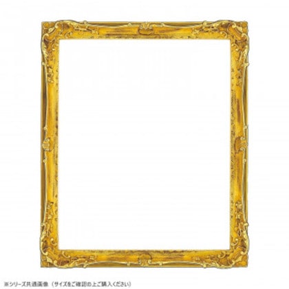 大額 デッサン額 8798 三三 ゴールド アクリル