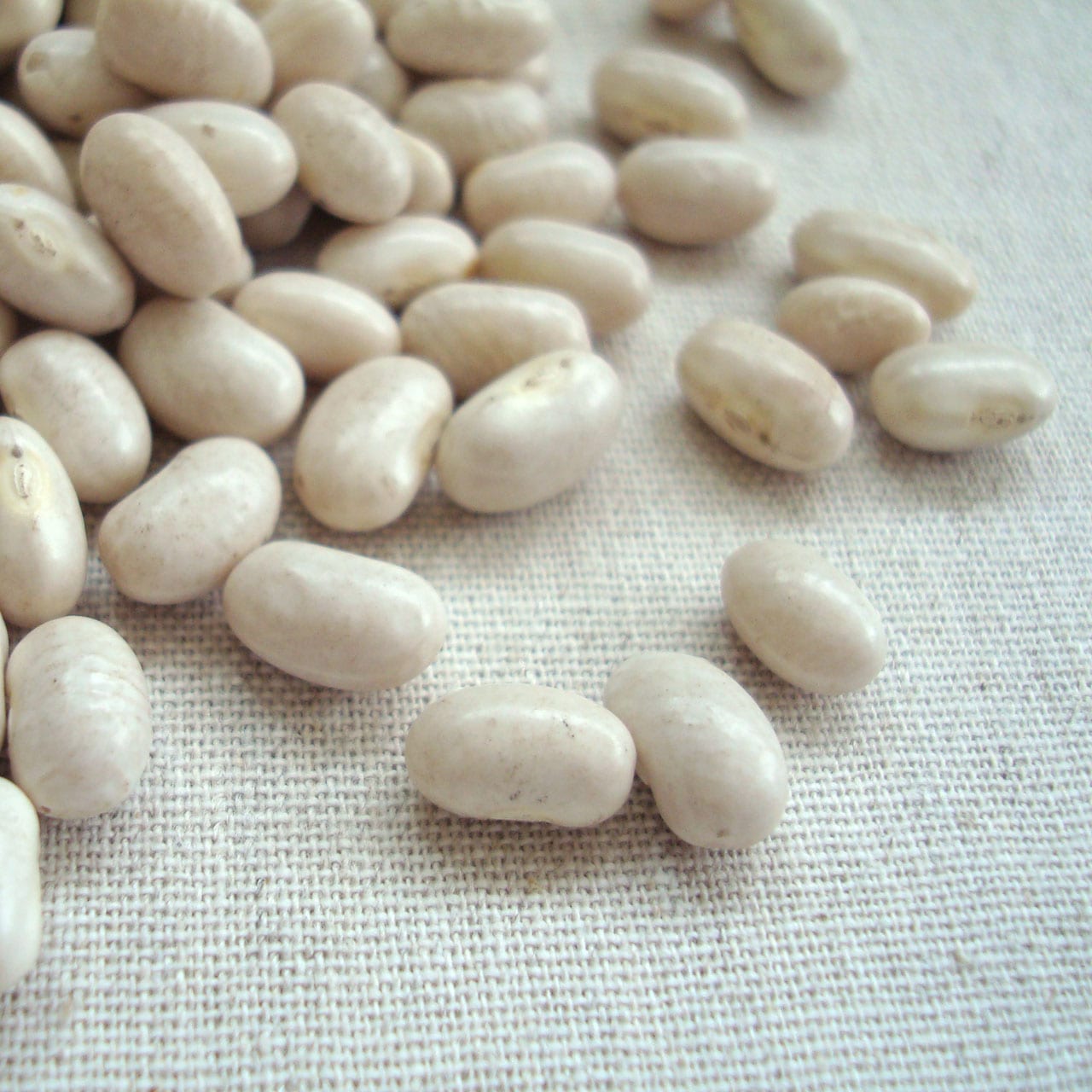 大手亡 30kg 2024年産 令和6年産 北海道産 白いんげん 業務用紙袋 店舗発送