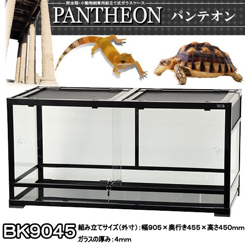 爬虫類ケージ　三晃商会　パンテオン　ブラック　ＢＫ９０４５　爬虫類　ケージ　お一人様１点限り　ＣＲＣ17―15―05―90―00