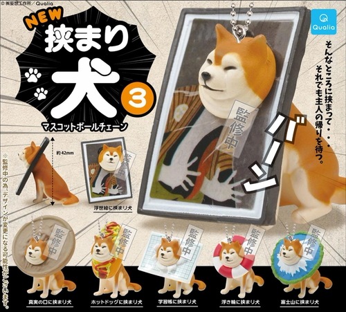【公式正規品】挟まり犬 マスコットボールチェーン 40個セット ガチャBOX付き ランダム