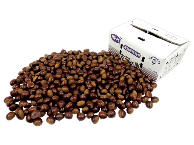 =国産和栗= 秀品 大粒2Lサイズ以上 約10kg 産地厳選 生栗 予約 9月下旬以降