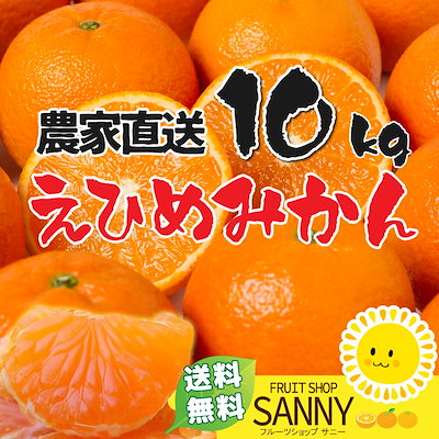 産地直送！極早生 愛媛みかん10kg 愛媛の青果市場だ...のサムネイル