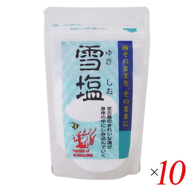 雪塩 パウダータイプ 120g 10個セット
