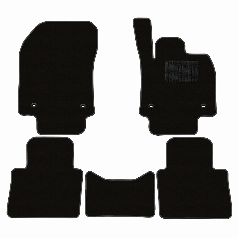 レクサス 新型 NX 20系 フロアマット [16色から選択]