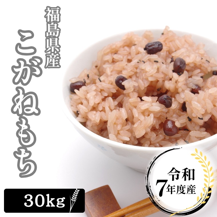 令和７年産 福島県産 こがねもち 30Kg 　もち米